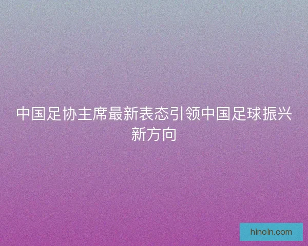 中国足协主席最新表态引领中国足球振兴新方向
