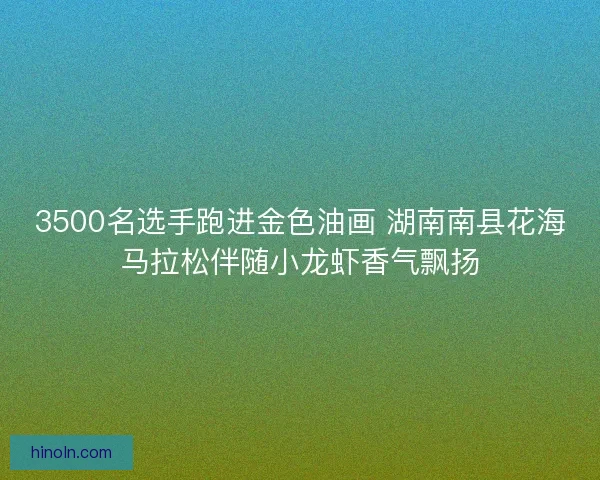 3500名选手跑进金色油画 湖南南县花海马拉松伴随小龙虾香气飘扬