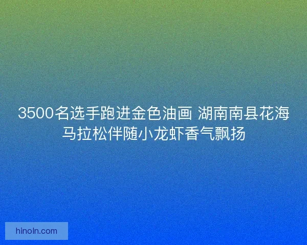 3500名选手跑进金色油画 湖南南县花海马拉松伴随小龙虾香气飘扬